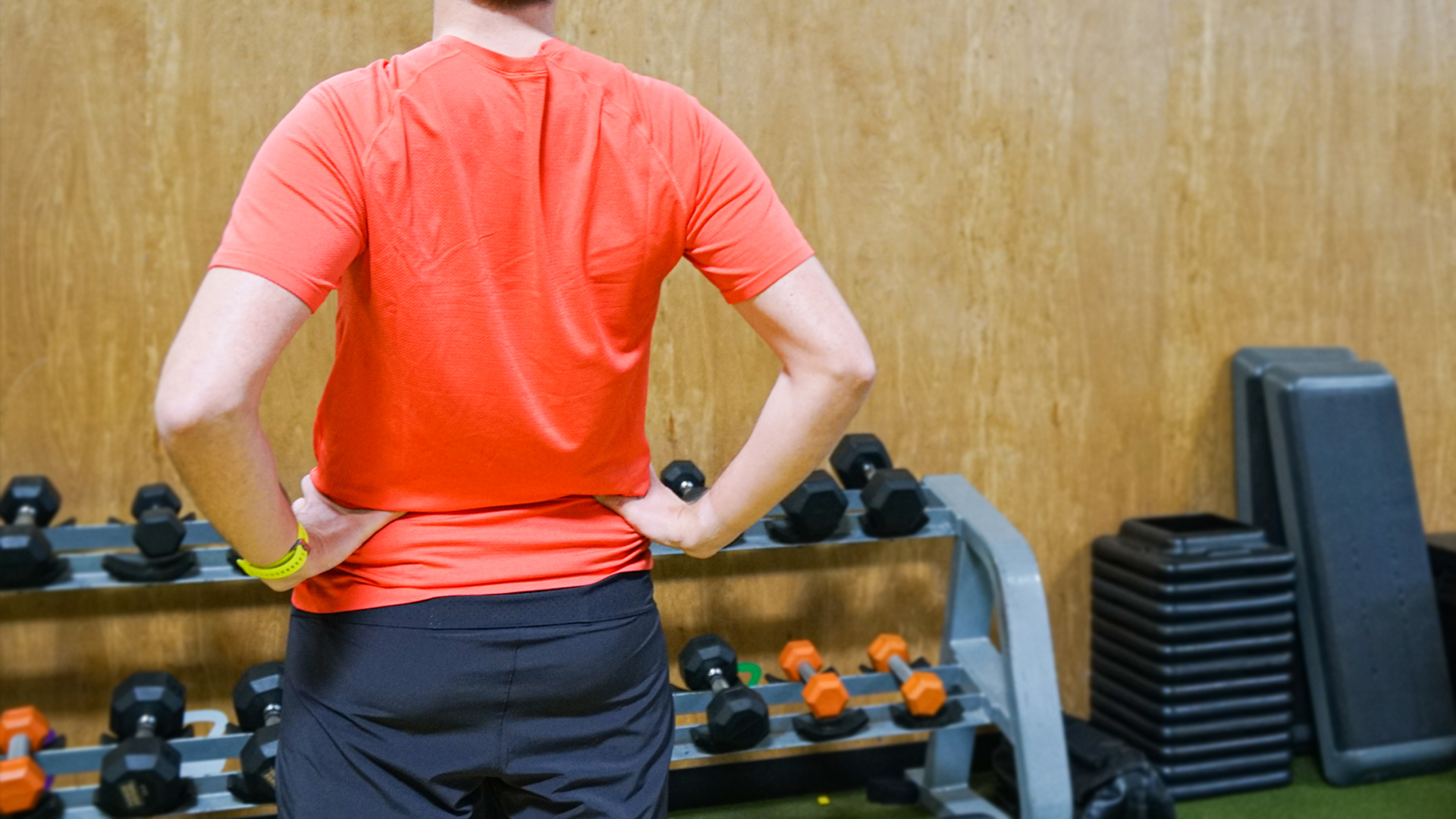 Lower Back Pain or Injury | Feldman Physical Therapy and Performance